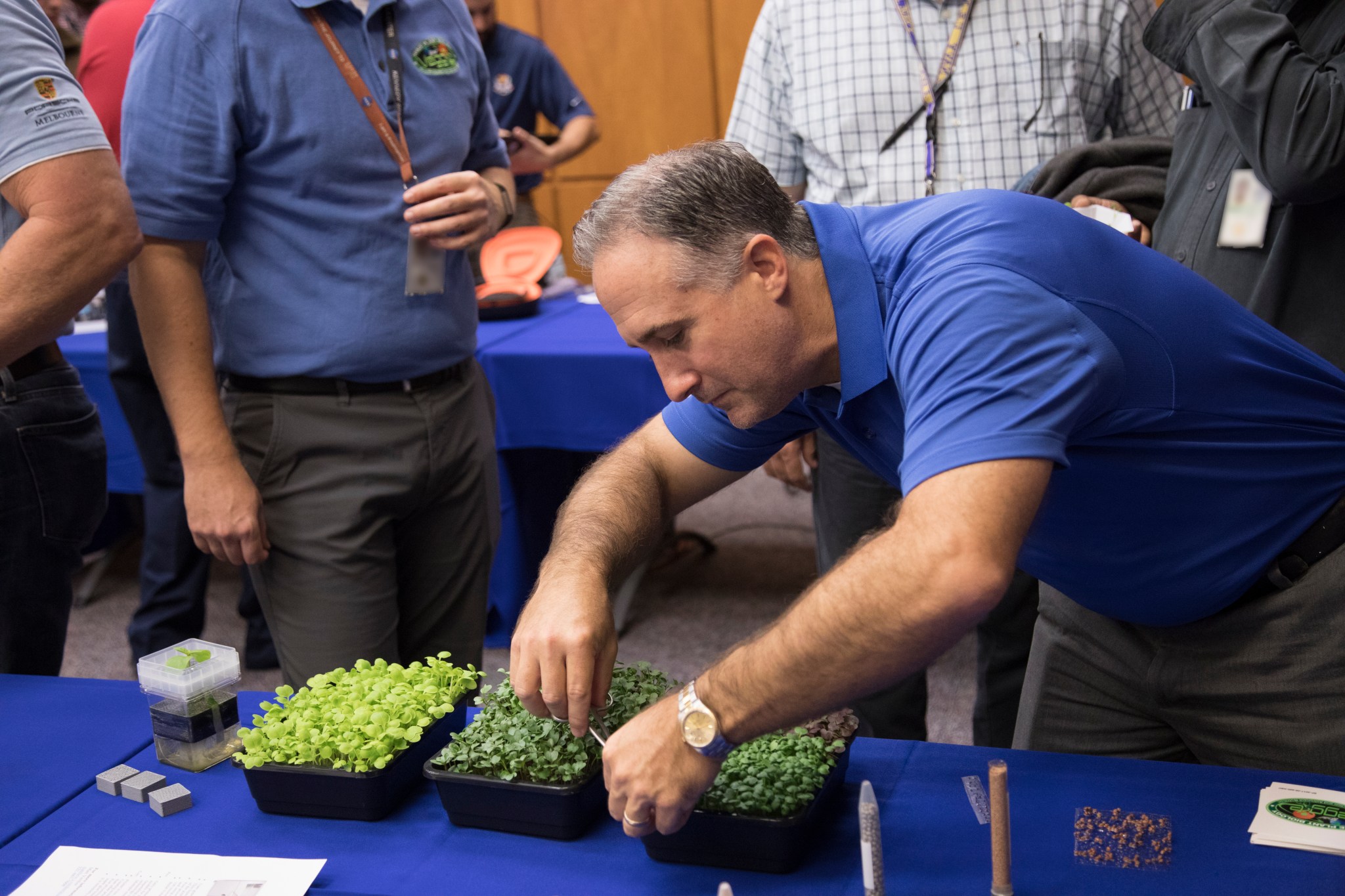 Microgreens on display during the Innovation Expo at NASA's Kennedy Space Center in Florida.