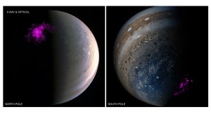 Jupiter's intense northern and southern lights, or auroras, behave independently of each other according to a new study.