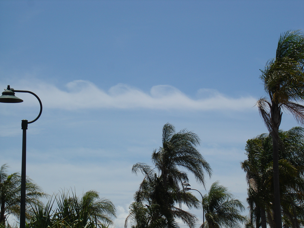 clouds exhibiting Kelvin-Helmholtz waves