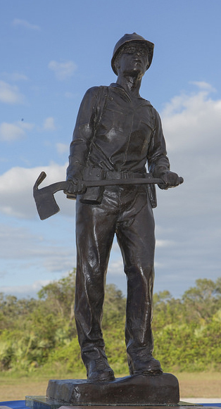 Pulaski Award