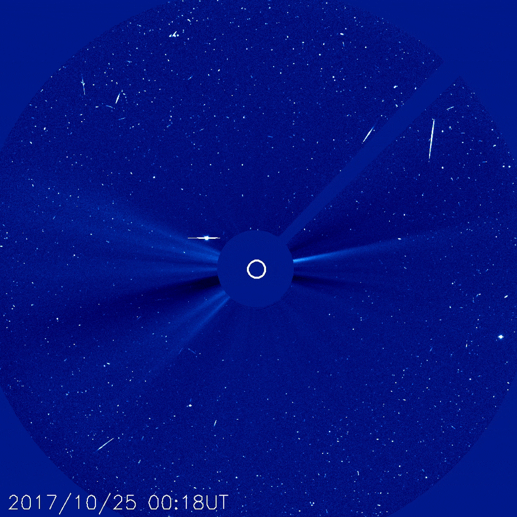 animation of SOHO observations of comet 96P