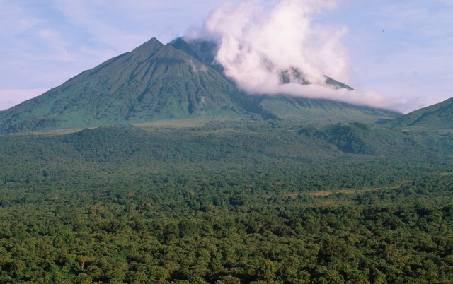 Sabinyo volcano and thick forest in Virunga National Park