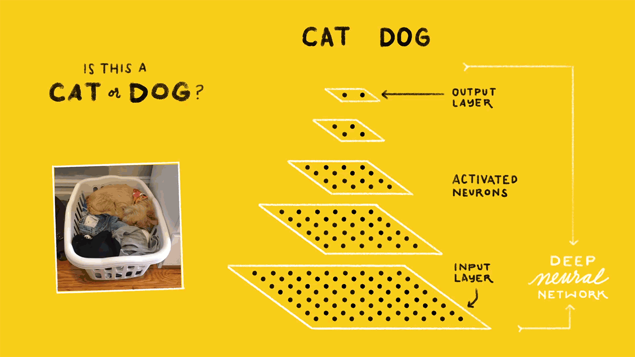 Animated gif explaining how a computer can learn to identify a dog from a cat