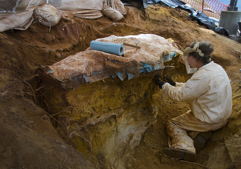 Here Michael is working to remove the very hard sandstone layer below the iron-rich clay layer in which the prints were preserved. Photo taken on January 7, 2013.