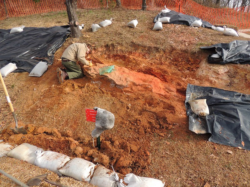 Michael Godfrey beginning the process of quarrying down around the footprint bearing layer. Photo taken December 31, 2012.