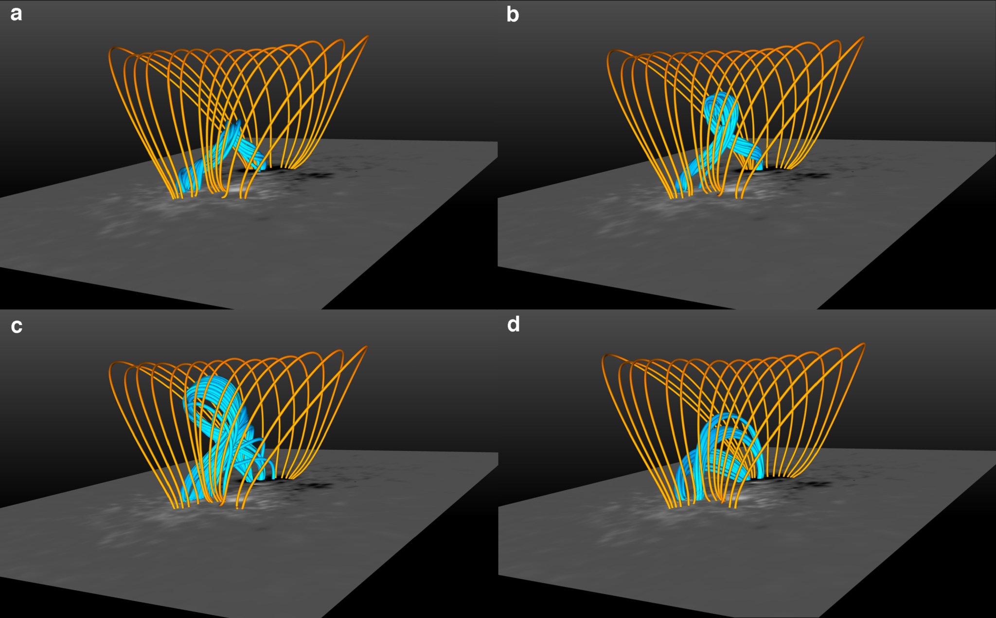 four illustrations depicting cage rope model