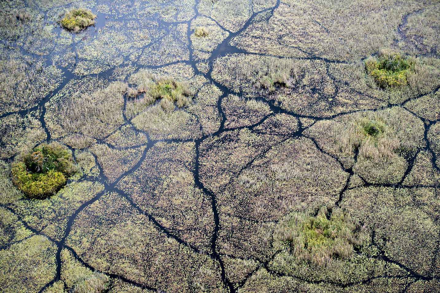 Vumbura Plains in the Okavango Delta, Botswana