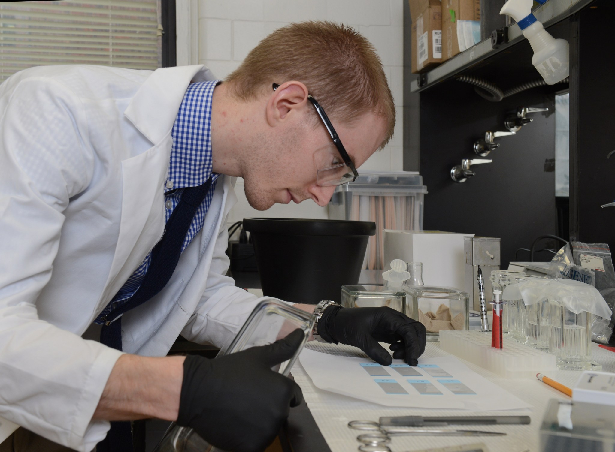 Eric Yarns, primary Research Assistant for Micro-11, examining sperm on microscope slides.