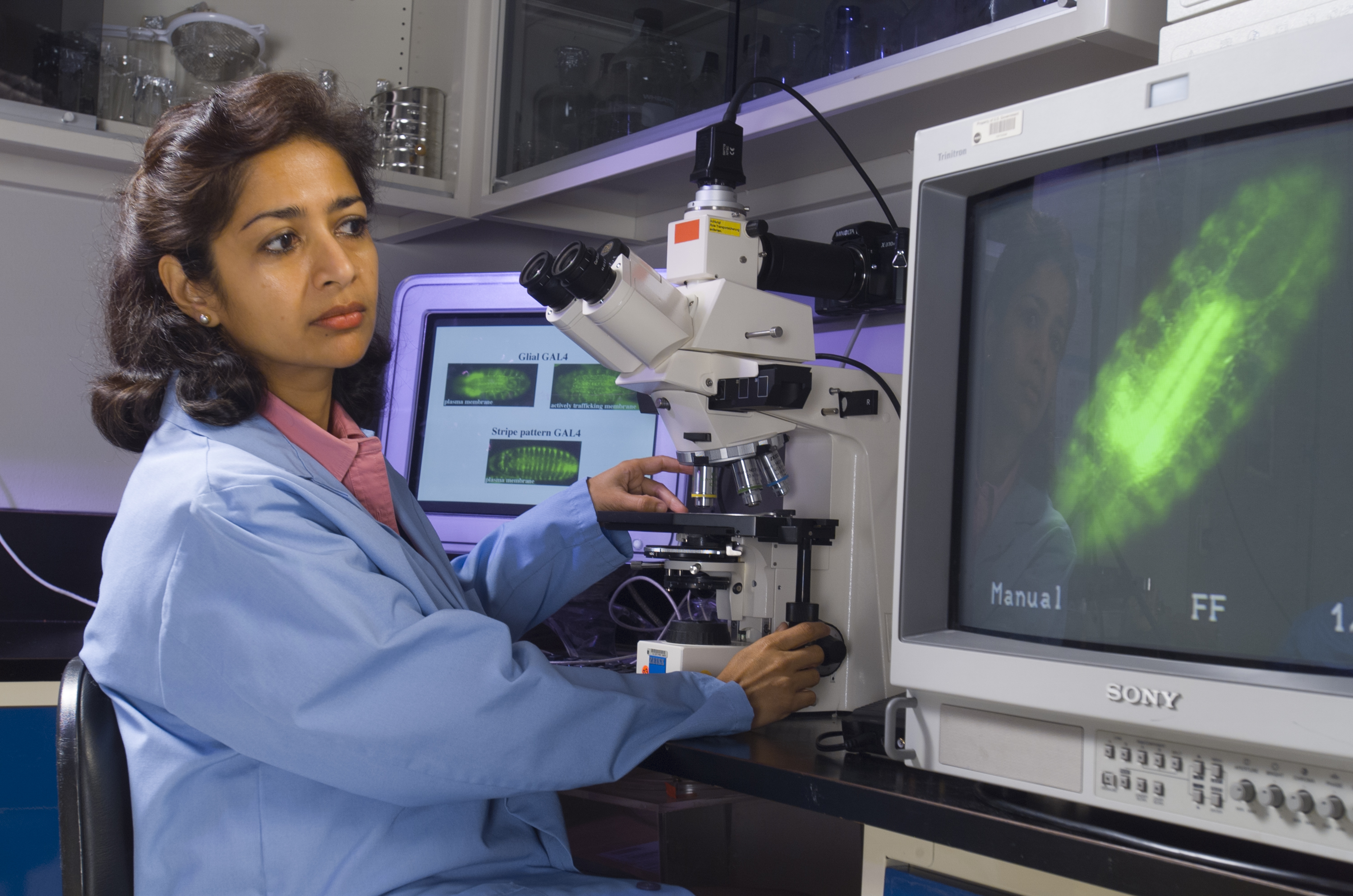 Sharmila Battacharya working in lab