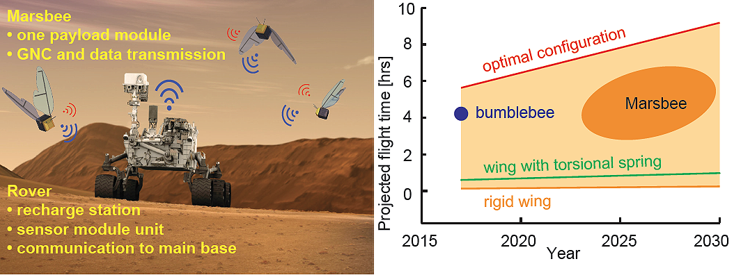 Marsbee and Rover on Mars.