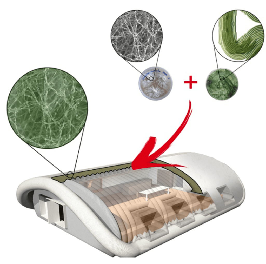 
			Myco-architecture off planet: growing surface structures at destination - NASA			