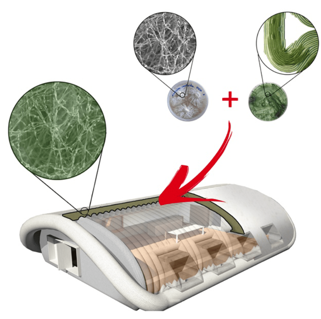 Growing surface structures at destination