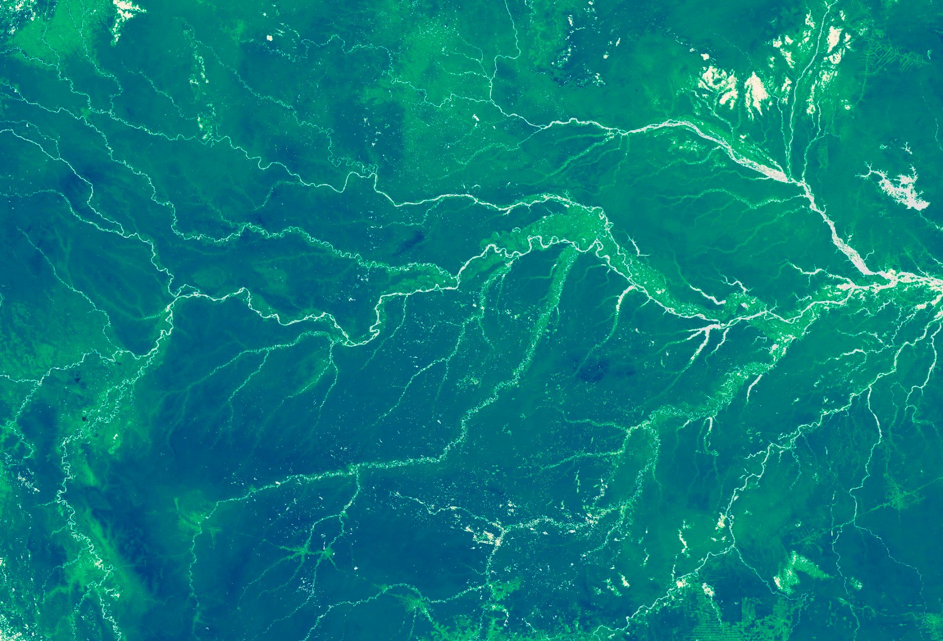 Satellite image of rainforest from orbit