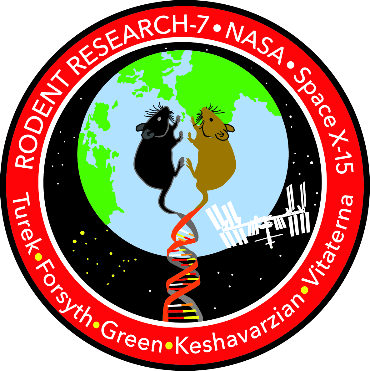 Rodent Rocket Research Rodent Nasa Logo 1