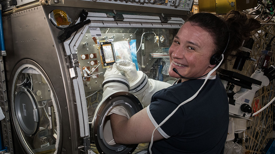 Flight Engineer Serena AuÃ±Ã³n-Chancellor conducts research operations for the AngieX Cancer Therapy study