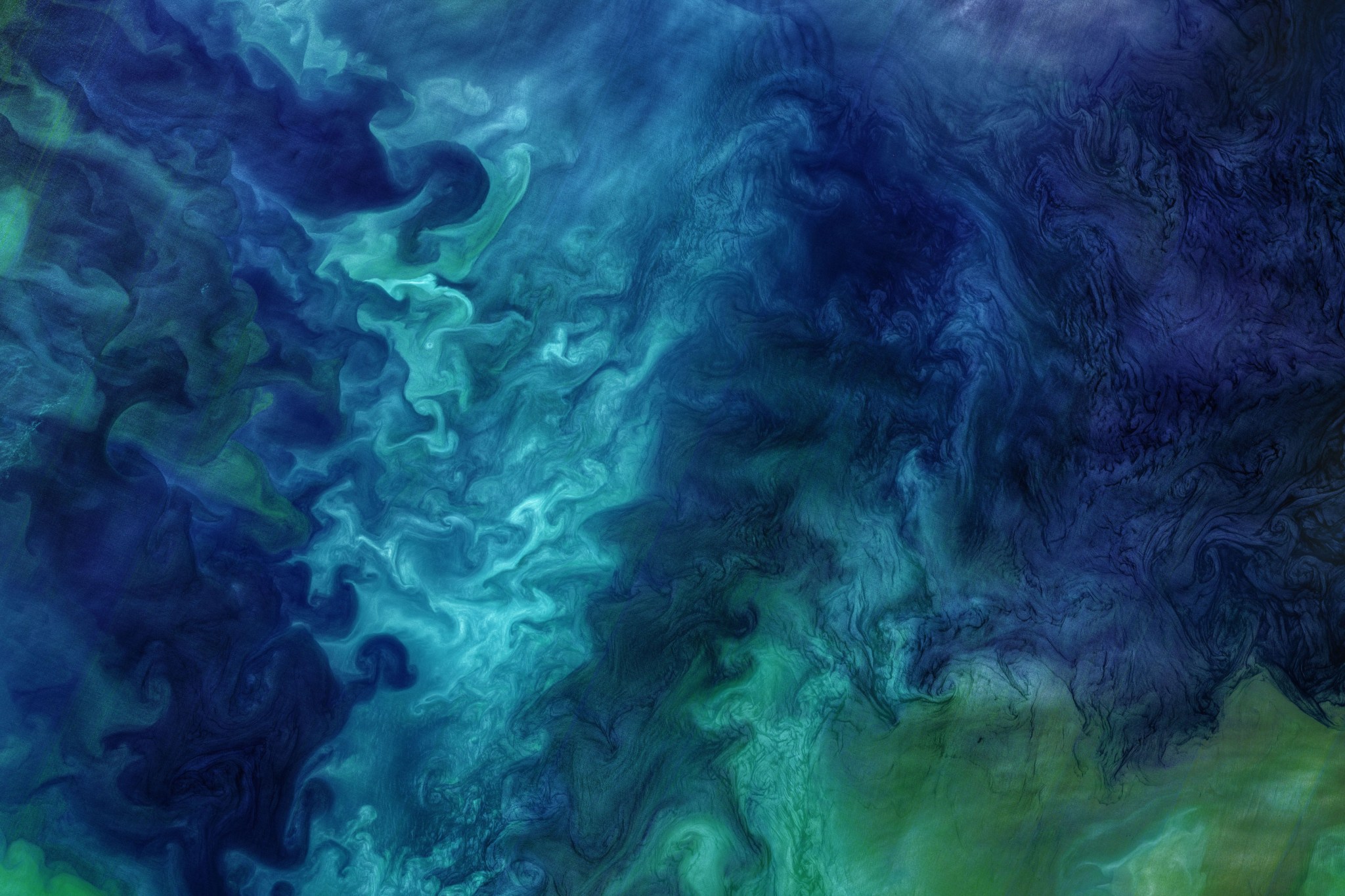 Image of the Chukchi Sea taken by the Landsat 8 satellite