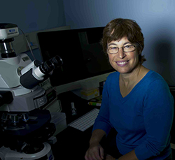 Lynn J. Rothschild