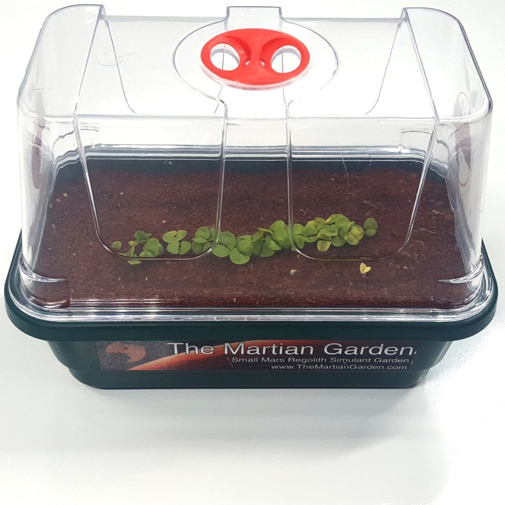 Martian Garden kit.