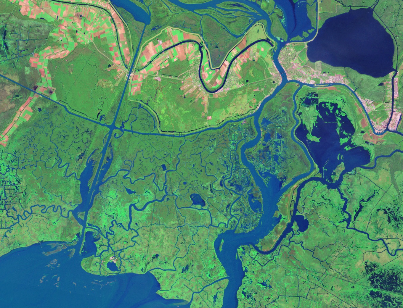 Satellite image of the Mississippi River Delta