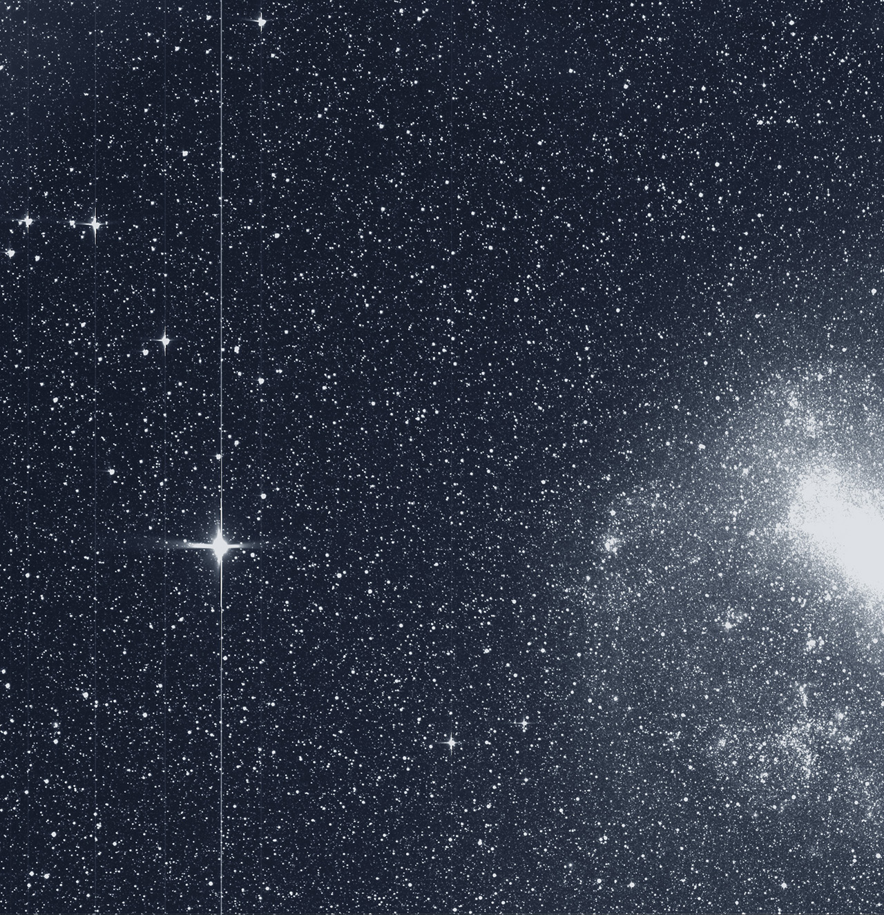 TESS image of Large Magellanic Cloud, right, and the star R Doradus, left