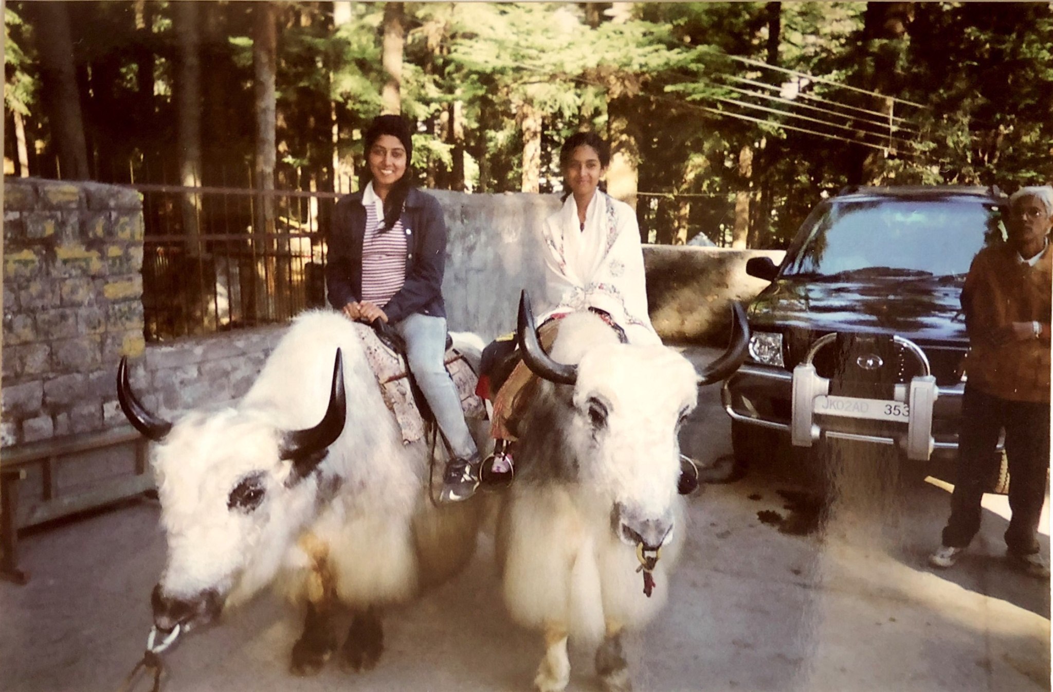 Older photo of two women, Ganeshan and her sister on Himalayan yaks