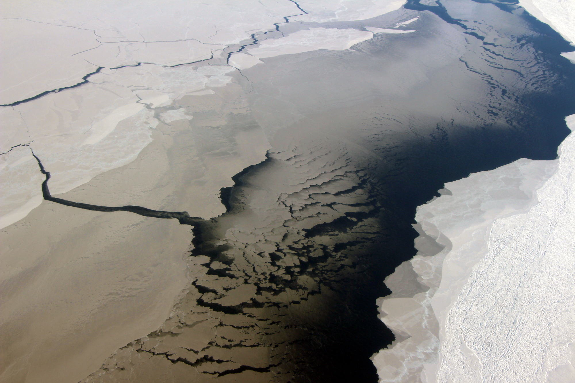 coastal polynya, or opening in the sea ice cover, near the Filchner Ice Shelf in Antarctica