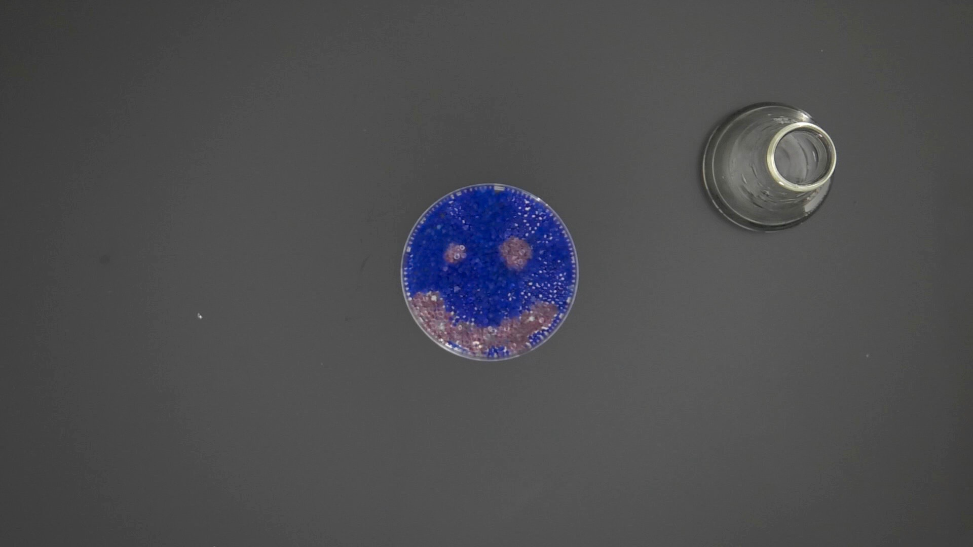 A petri dish of blue silica gel beads with pink beads in the shape of a smiley face. A flask of water sits to the right.