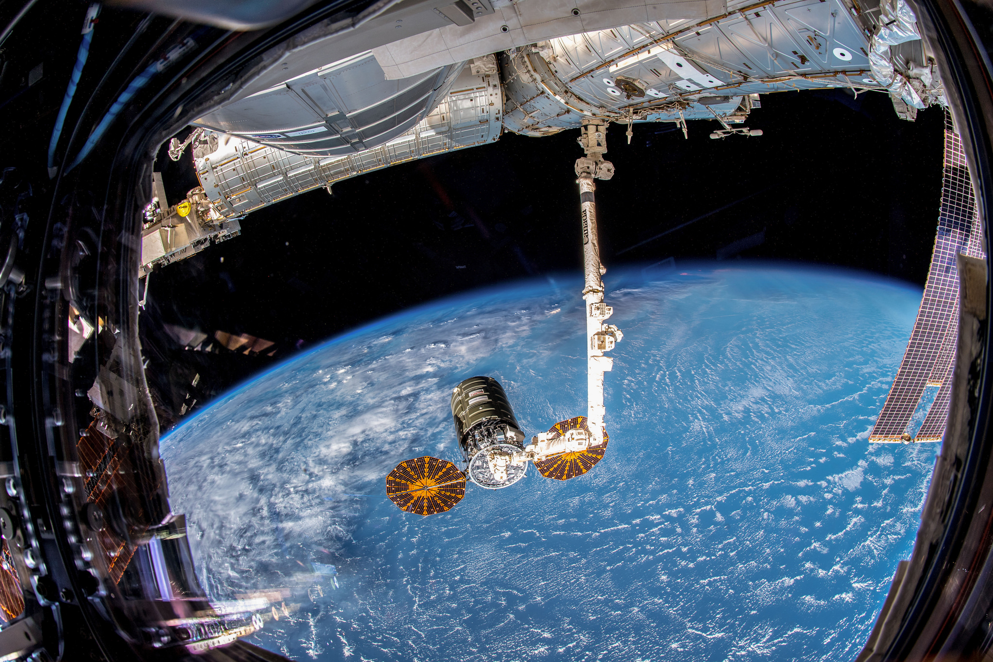 Northrop Grumman's Cygnus spacecraft, with its prominent cymbal-shaped UltraFlex solar arrays, is pictured Nov. 19, 2018