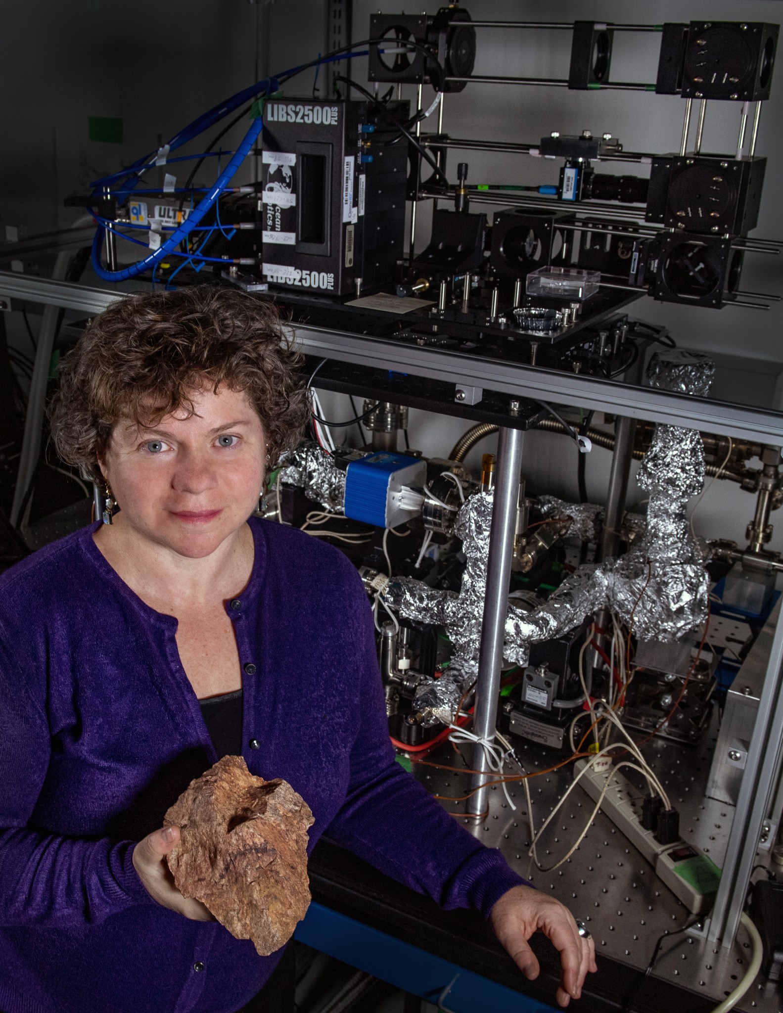 Woman with short, curly brown hair wears a purple sweater and holds a lunar rock. She is standing in front of many wires, instruments, and piping wrapped in what looks like aluminum foil. 