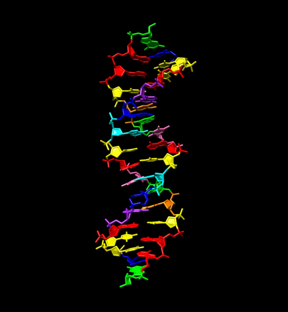 NASA-Funded Research Creates DNA-like Molecule to Aid Search for Alien Life