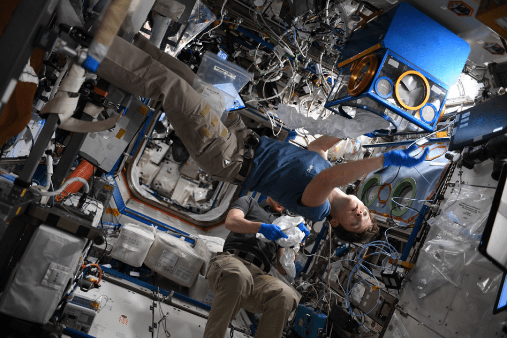 Expedition 58 Flight Engineer Anne McClain conducts a science experiment aboard the International Space Station.