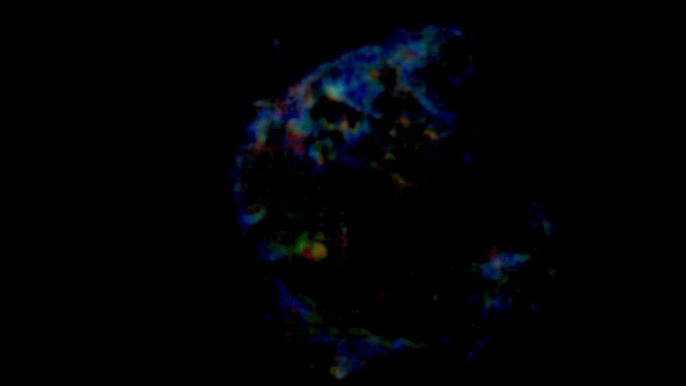 A newly forming star in the Orion Nebula is creating the bubble (black) and pushing molecular gas (color) to the edges.