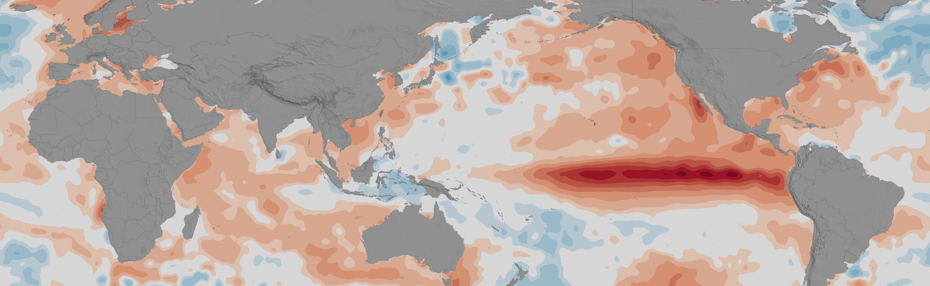 A flat map of the world showing relative sea surface temperatures compared to a baseline. Areas of warmer temperatures appear pink or red; areas of cooler temperatures appear light blue. The continents are depicted in medium gray. The water around the coasts of Africa, Asia, Australia, and North America is deep pink to red, with a huge red line representing El Niño-heated water extending horizontally away from the coast of upper South America. Smaller cool blue areas appear scattered across the northern and southern parts of the oceans, with a larger cool patch to the right of North America, south of Greenland.