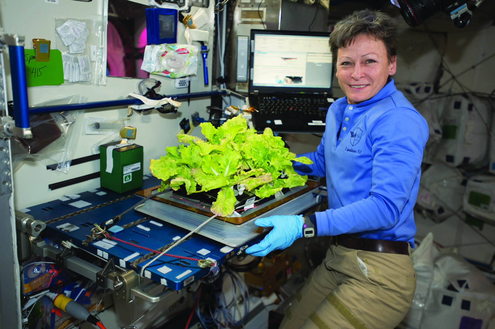 NASA astronaut Peggy Whitson poses with cabbage plants in space