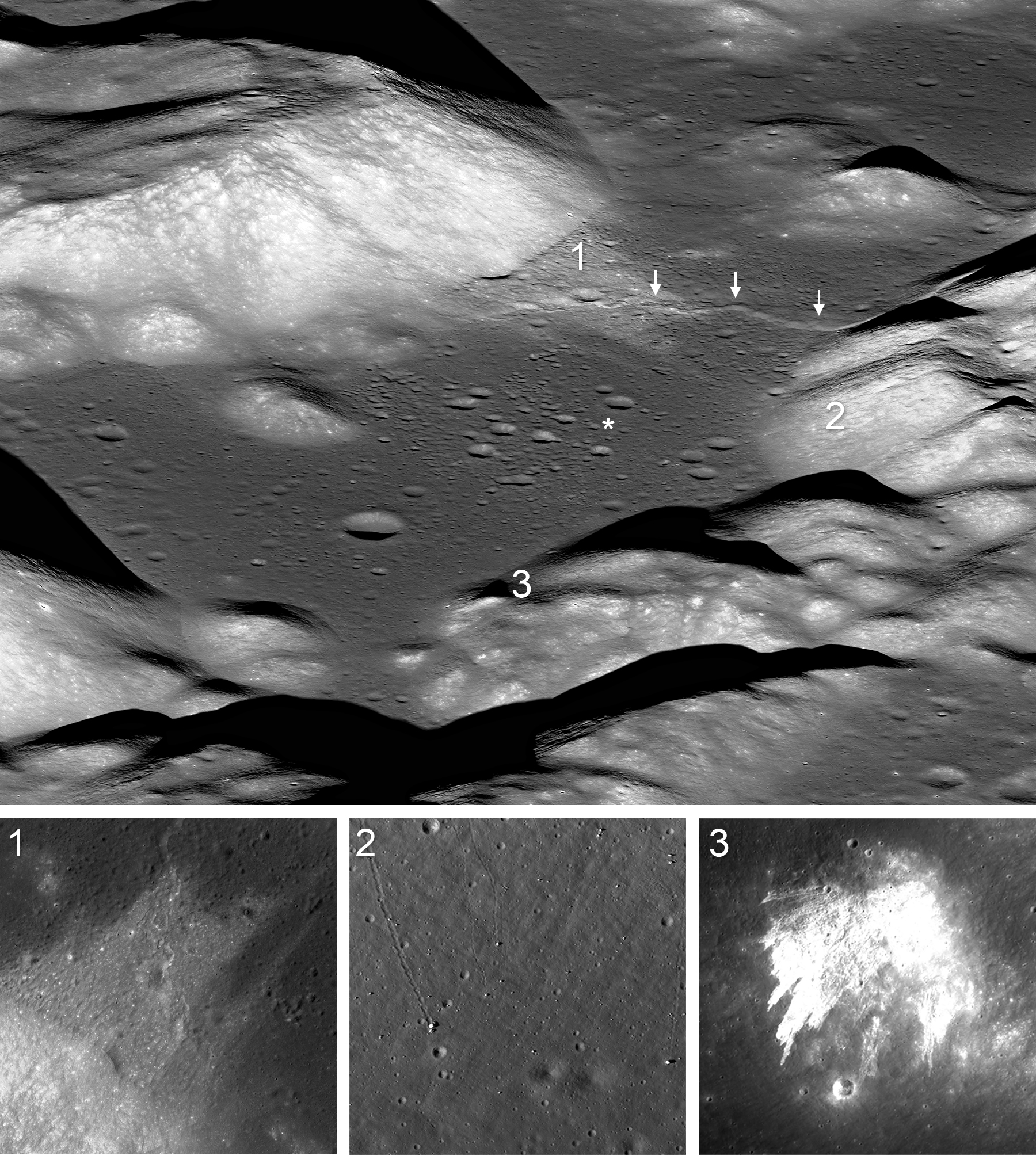 Evidence for moonquakes on Lee-Lincoln fault scarp