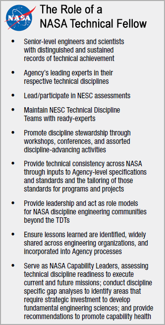 The roles of a NASA Technical Fellow