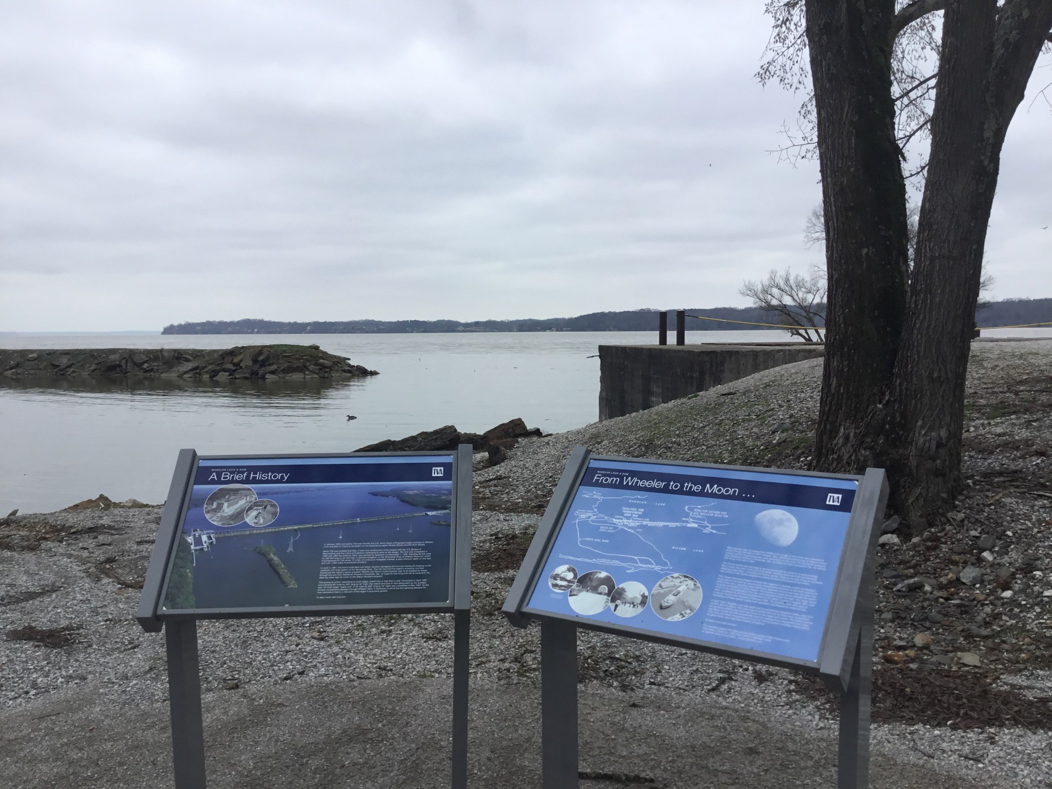 Signs, Tree, Dock, River