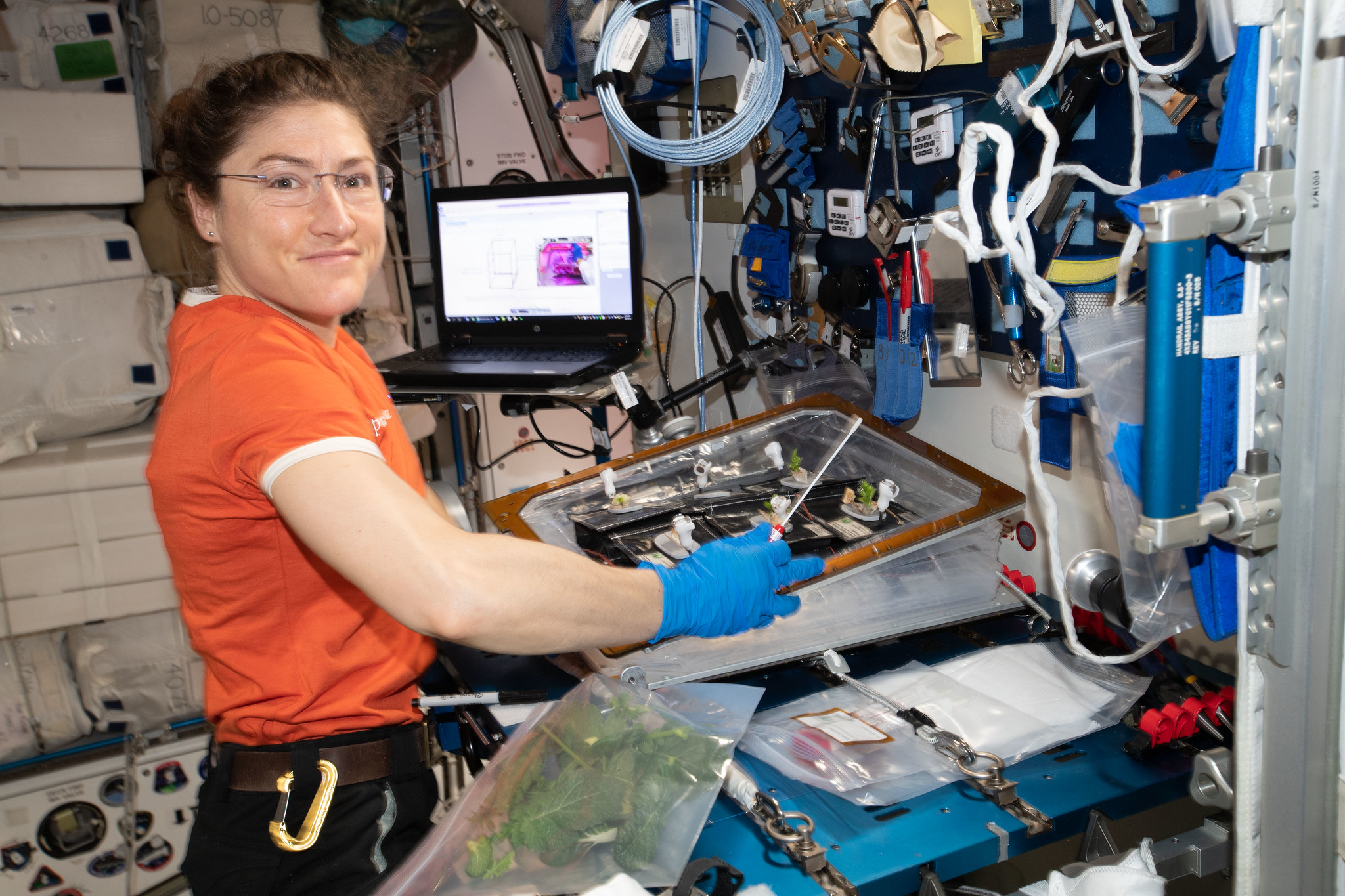 NASA astronaut Christina Koch conducts botany research aboard the International Space Station.