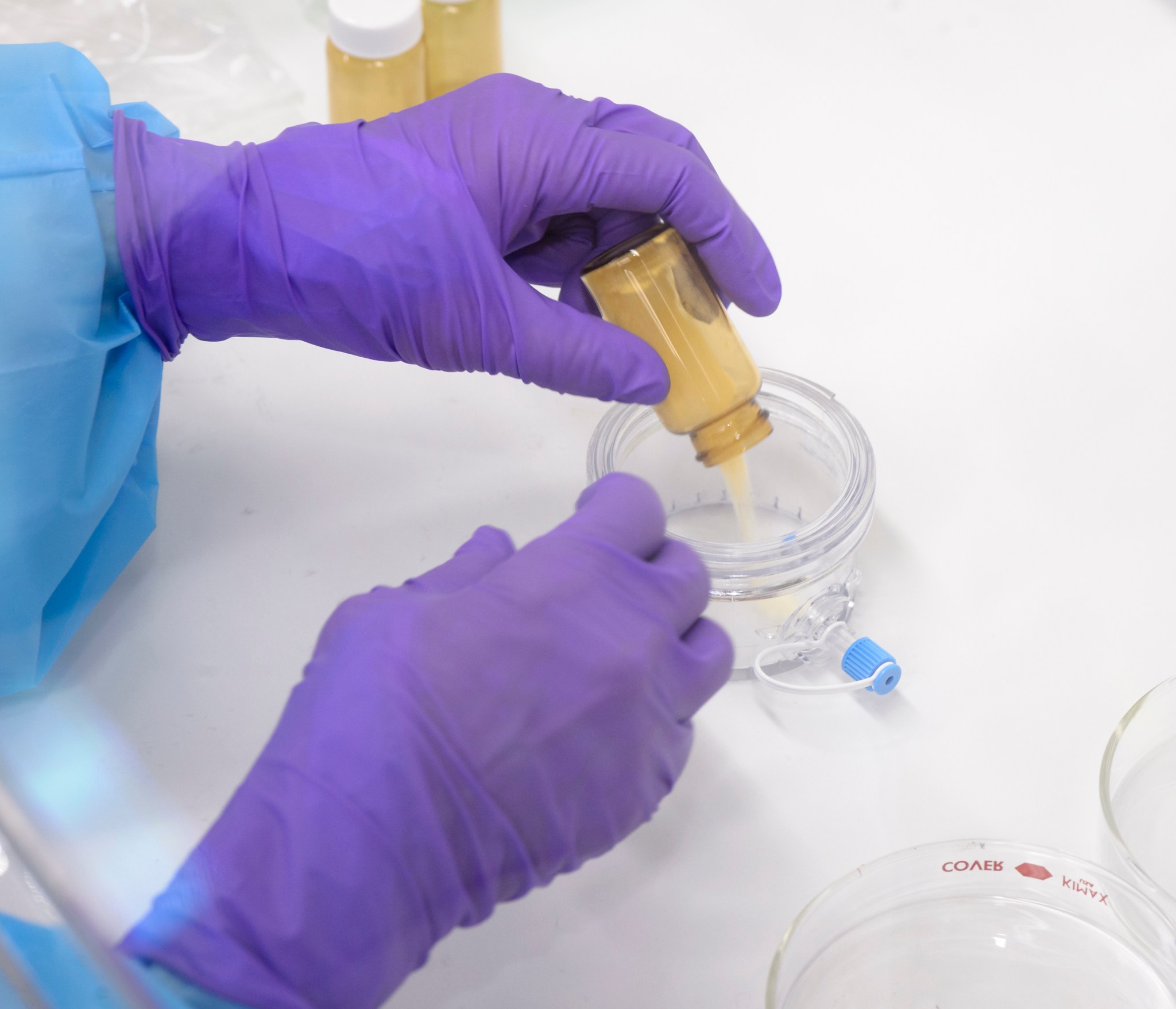 Purple-gloved hands seen pouring white powder from a small glass jar into a round plastic container.