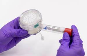 Purple-gloved hands seen holding experiment hardware with a round container at left, and plastic tube extending to the right.