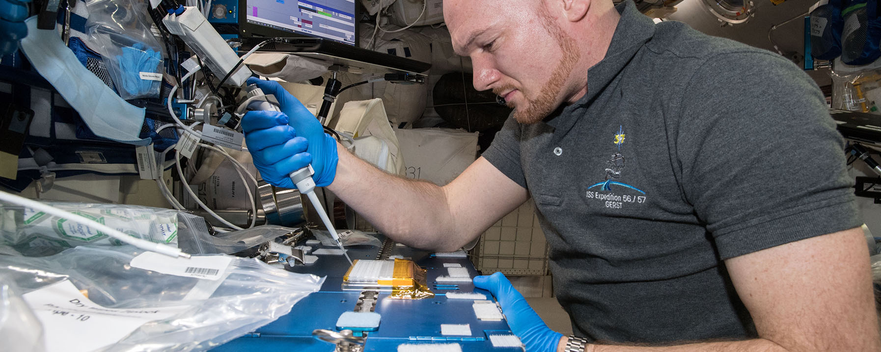 Astronaut Doing Research