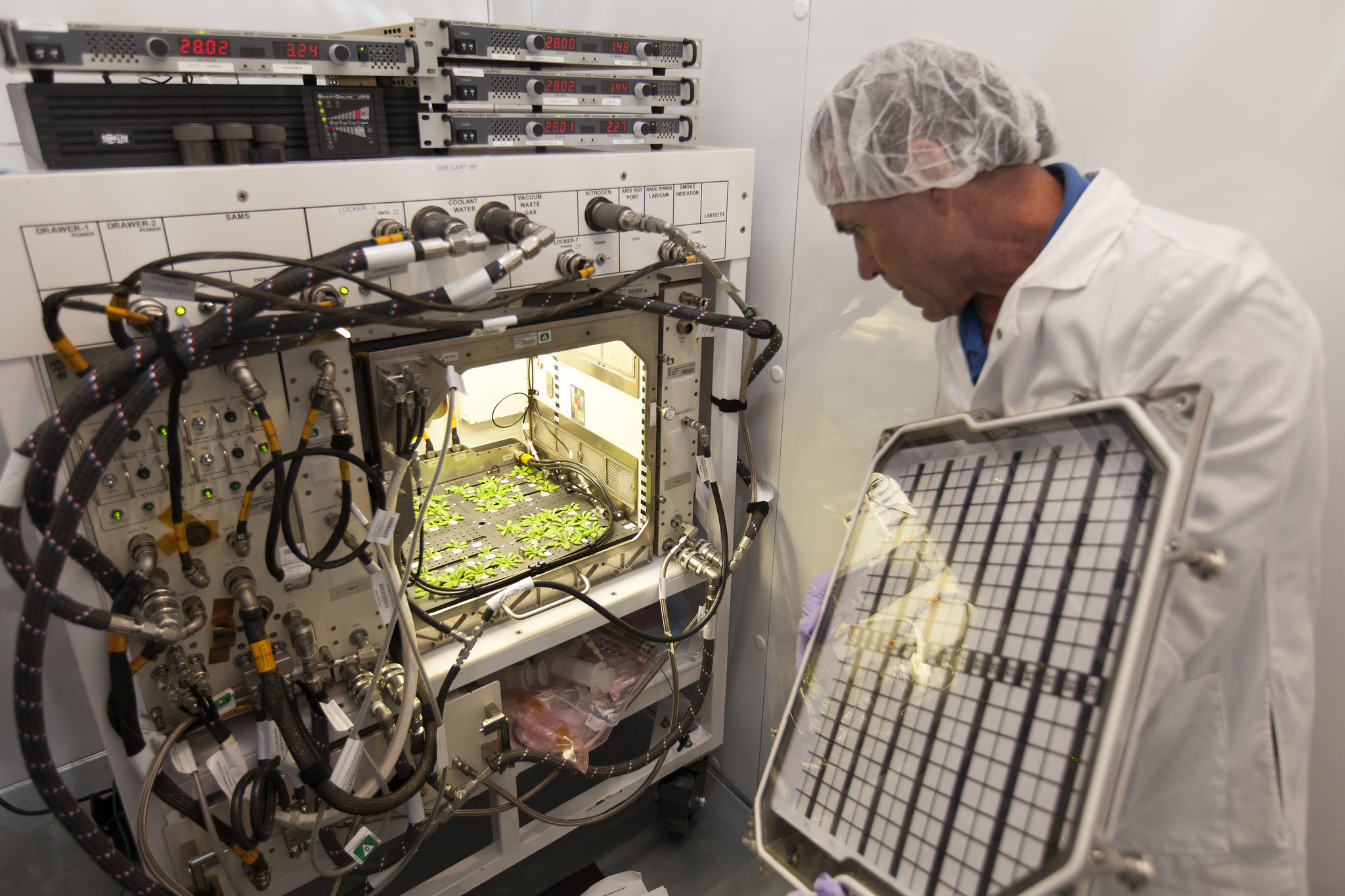 A man opens the door to the growth chamber of the Advanced Plant Habitat Flight Unit No. 1 for a test harvest of half of the Arabidopsis thaliana plants growing within.