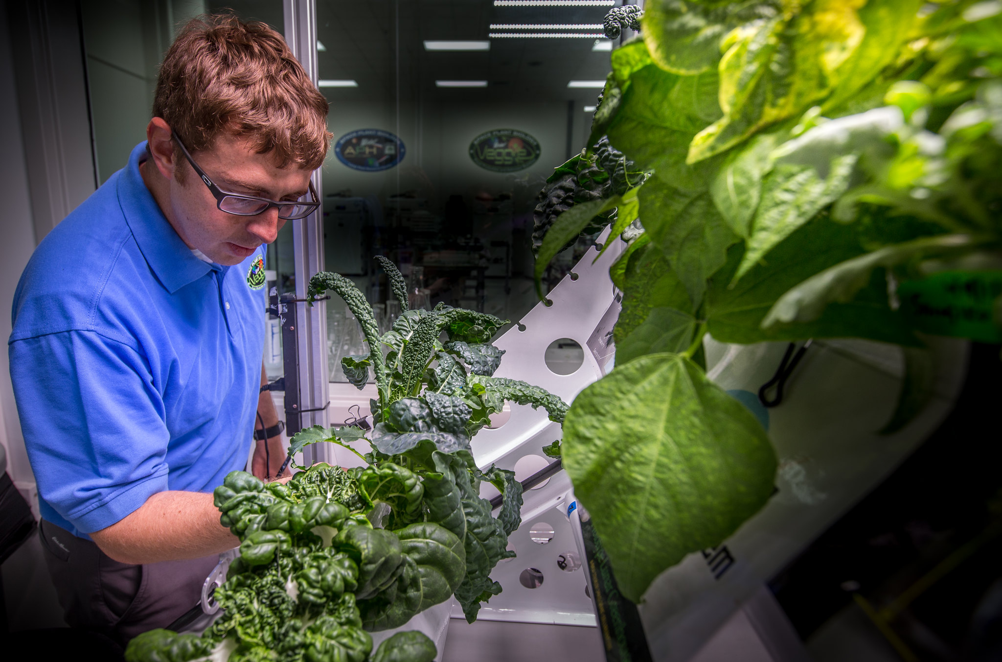 NASA's Matt Romeyn works in the Crop Food Production Research Area of the Space Station Processing Facility at the agency's Kennedy Space Center in Florida.