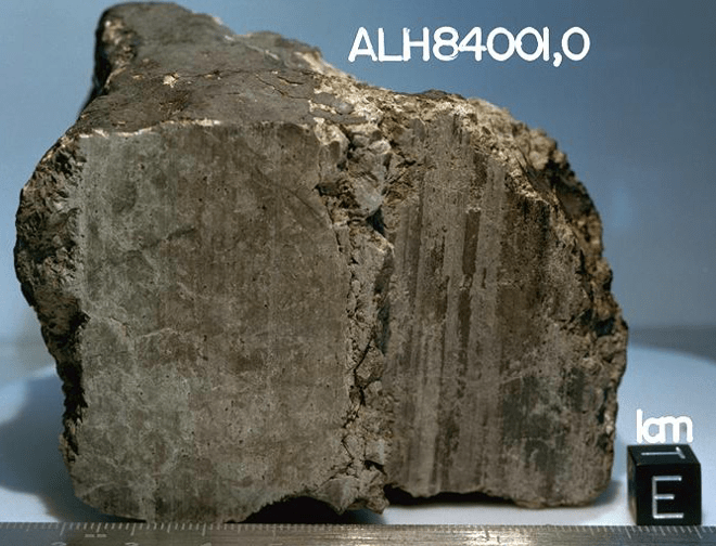 This is a picture of the martian meteorite ALH88001, which we found near the Allan Hills on the 1984-1985 ANSMET field season.  