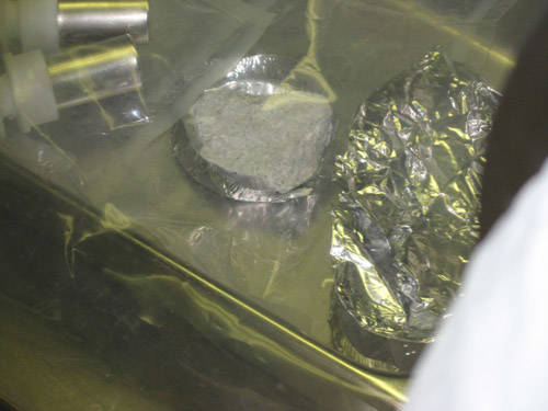 Apollo Curation Lab Visit 