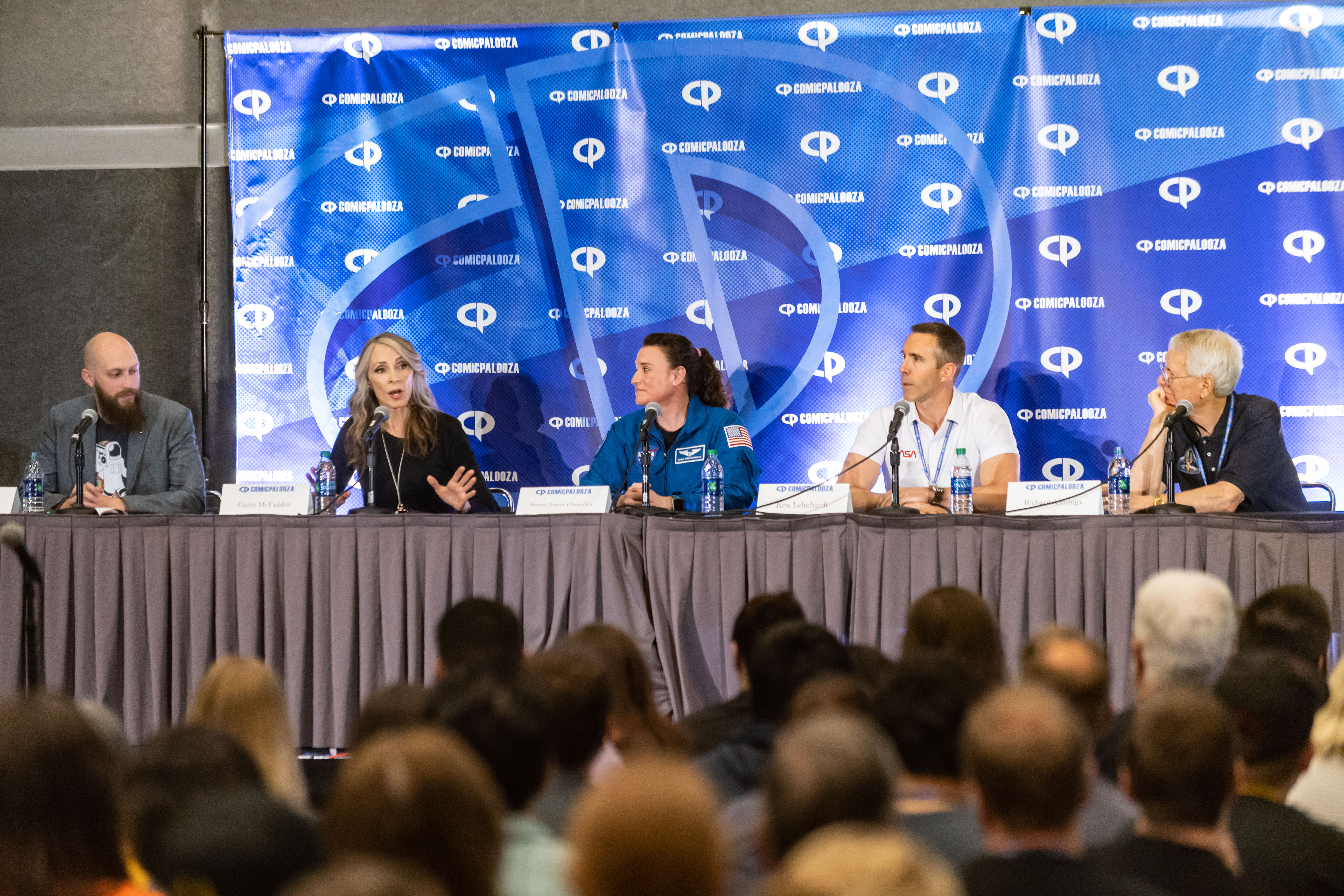 Comicpalooza Panel