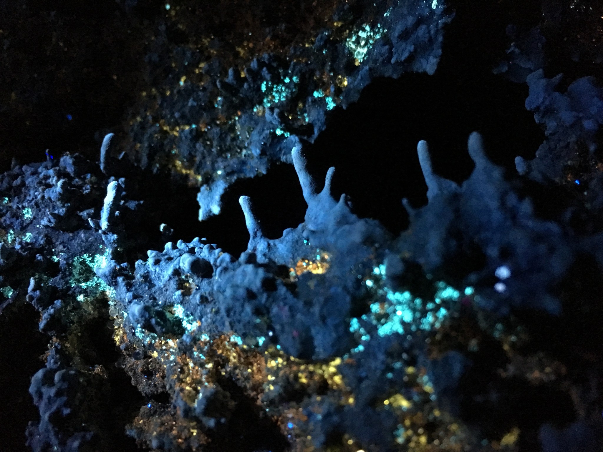 A cave wall glowing with green, yellow and orange microbes.