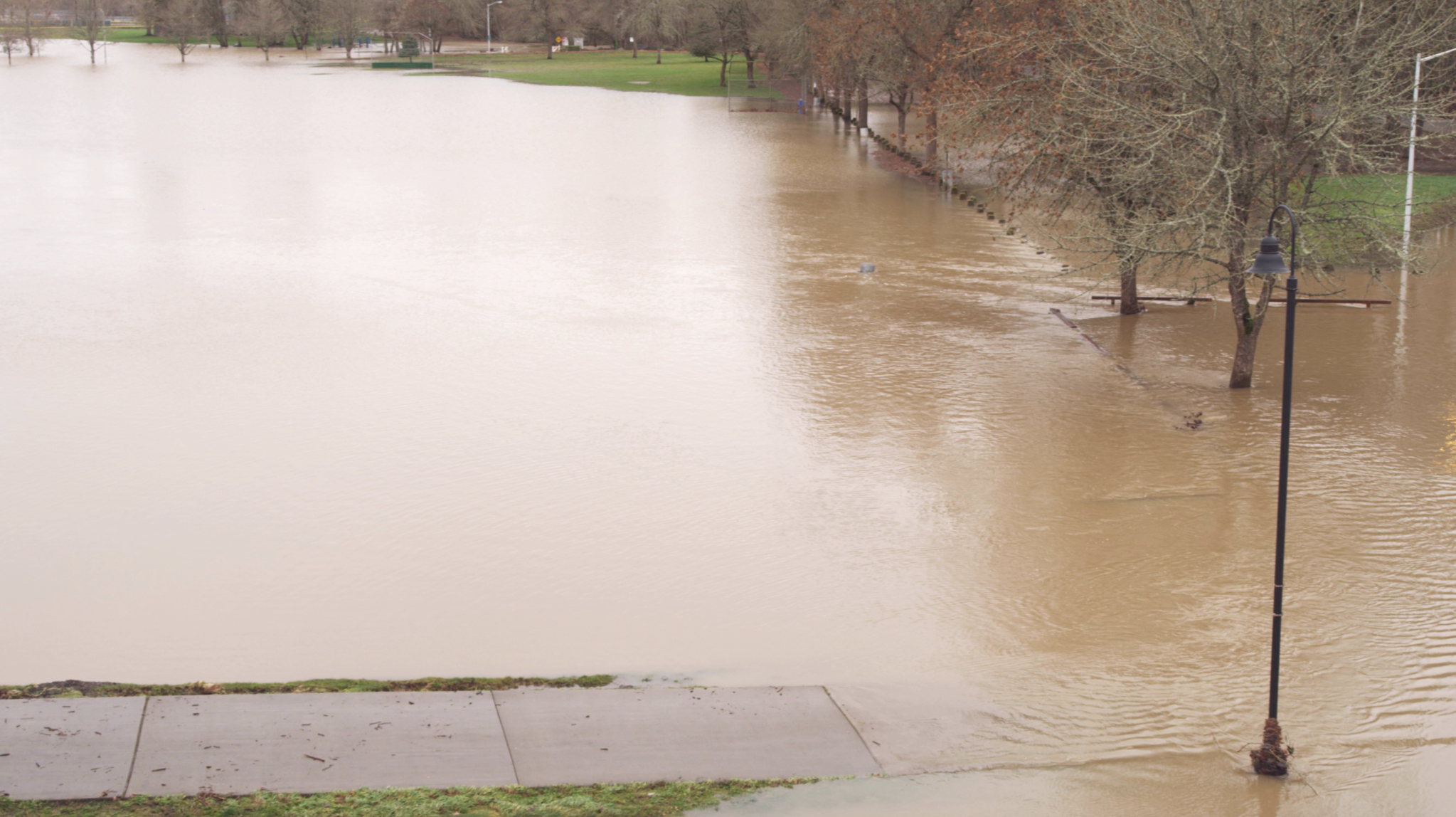 A flood, with brownish water covering a once grassy field. The water is reaching up onto a sidewalk in the foreground.