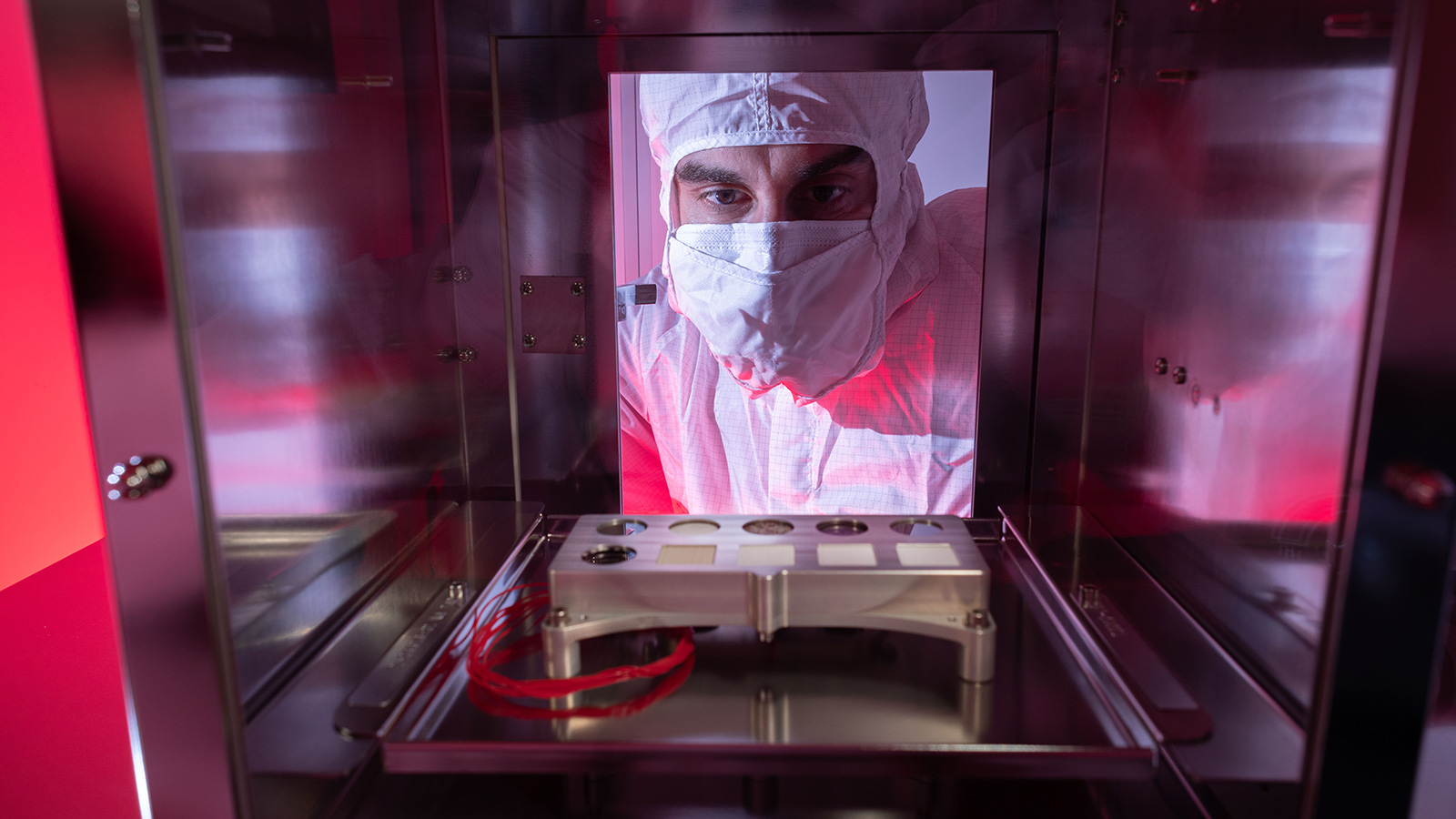 Technician looks at a sample