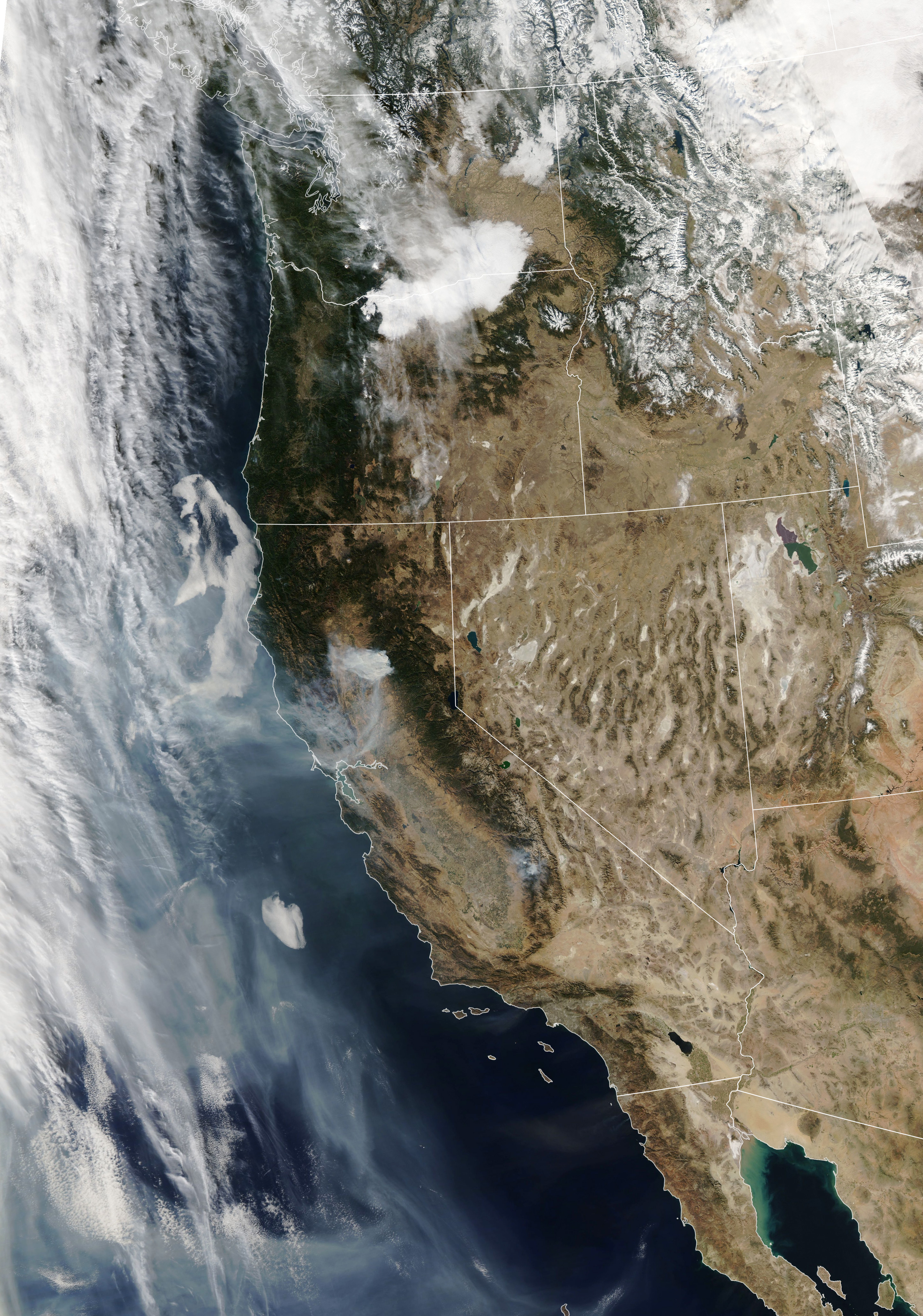 Satellite image of the west coast of the US, which is mostly brown with patches of dark green. Smoke from the Camp Fire trickles out from central California, as wisps of transparent gray, reaching into the ocean.